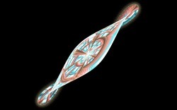 2014 04 24 Grand Julian 57-black.jpg